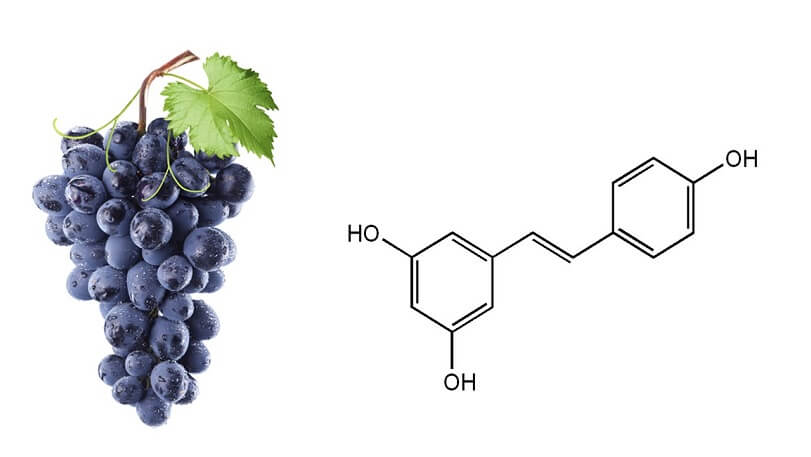 Resveratrol un antioxidante presente en la uva