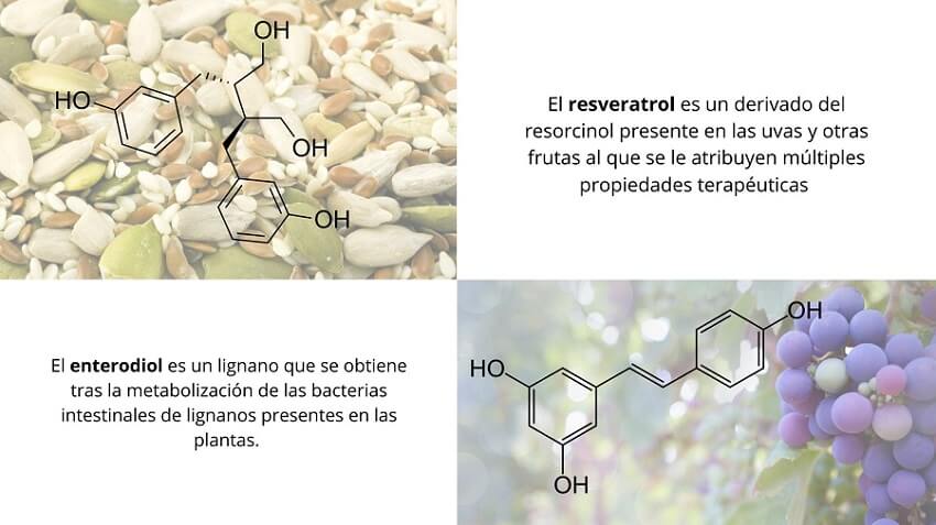 Lignanos y derivados del resorcinol